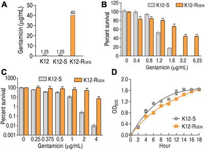 Glutamine potentiates gentamicin to kill lab-evolved gentamicin-resistant and clinically isolated multidrug-resistant Escherichia coli